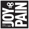 Joy & Pain (feat. Josh Barry) [Alex Ross Remix] - Single