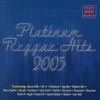 Platinum Reggae Hits 2003 (feat. Various Artists)