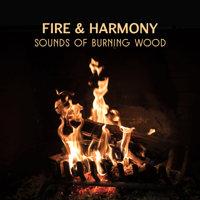 Native American Music Consort - Fire & Harmony: Sounds of Burning Wood – Tranquil Relaxation Music, Regulate Soul & Brain Activity artwork