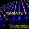 Picture Perfect (The Juan MacLean Remix) - Terrace lyrics