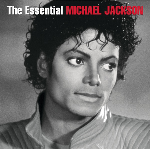 Album art for The Way You Make Me Feel by Michael Jackson