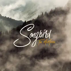 Songbird - Single - Tim McMorris Songbird - Single - Tim McMorris