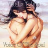 Voice of the Soul - Single