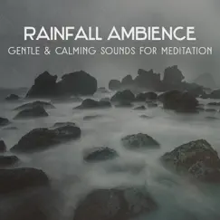 Rainfall Ambience – Gentle & Calming Sounds for Relaxation, Struggling with Insomnia, Music for Rest and Liquid Dreams by Spiritual Healing Music Universe album reviews, ratings, credits