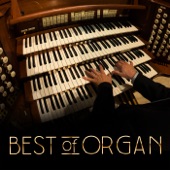 Best of Organ artwork