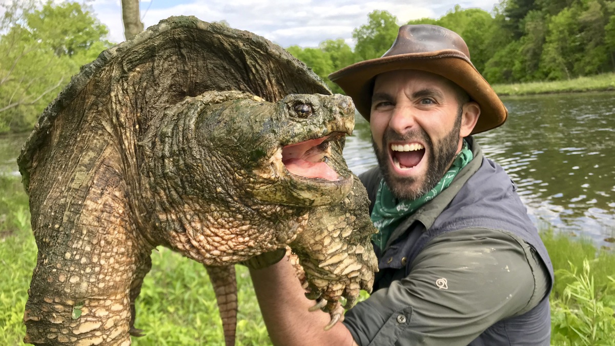 Legendary Turtle Of Texas - Coyote Peterson: Brave The Wild (season 1 