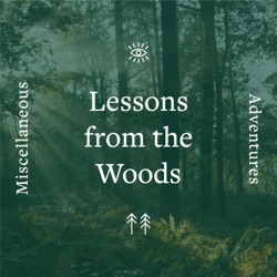 Lessons from the Woods - Beginnings