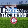 From the Back Fields to the Bronx artwork