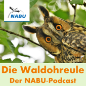 NABU-Podcast: Die Waldohreule - NABU, Carolin Pauli