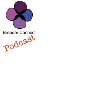 Breeder Connect the podcast