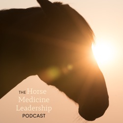 Horse Medicine Leadership