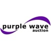 Purple Wave's Auction Podcast artwork