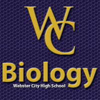 Webster City Schools - Biology podcast
