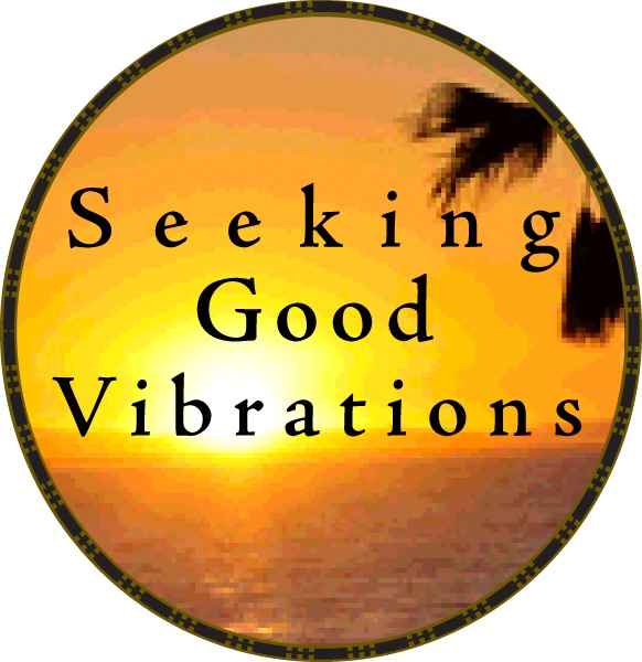 Seeking Good Vibrations cover