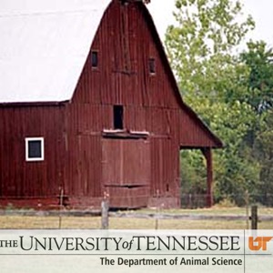 Animal Science - TN Cattle Lane