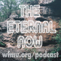 The Eternal Now with Andy Ortmann | WFMU podcast