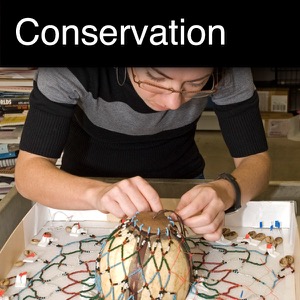 Conservation
