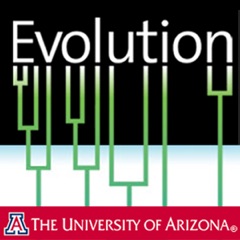 Evolution