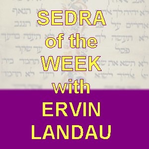 Sedra of the Week with Ervin Landau cover