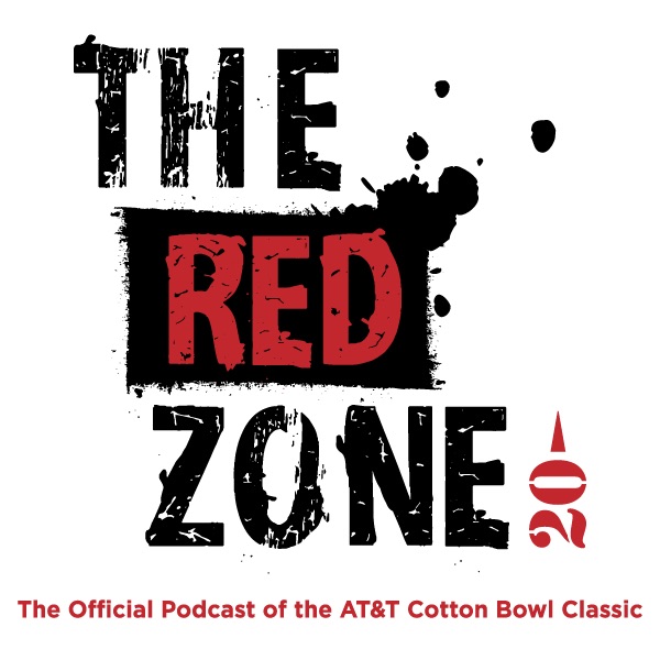 The Red Zone cover