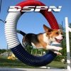 DSPN - The Dog Sports & Performance Network - Pets & Animals on Pet Life Radio (PetLifeRadio.com) artwork