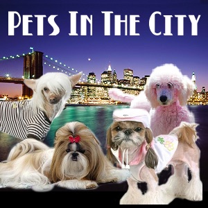 31 Best Photos Pets In The City / Littlest Pet Shop Pets In The City Dog Puppy Fergus Hardy 194