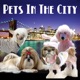 PetLifeRadio.com - Pets In The City - Episode 43 Shelter from the Storm- Everyday Angels Help New York City Pets and Families Weather the Damage of Hurricane Sandy