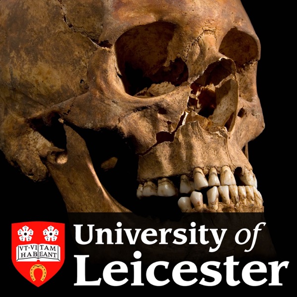 Richard III - Uncovering the Church of the Friars Minor Leicester SD