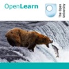 Studying mammals: the opportunists - for iBooks artwork