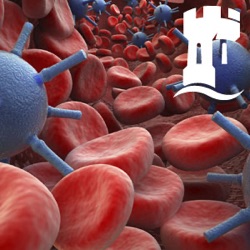 T cell-mediated immunity - 2