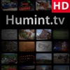 HumanIntelligence.tv (HD) artwork