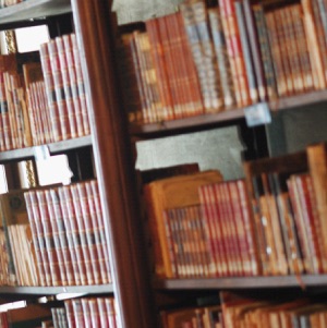 Legal vs Illegal Questions