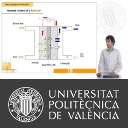 Electrochemical Basis of Fuel Cells