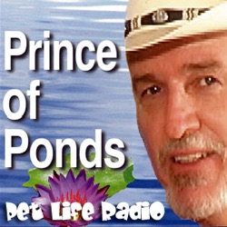 PetLifeRadio.com - Prince of Ponds - Episode 5 Waterfalls