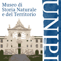 Museo di Storia Naturale e del Territorio di Calci podcast