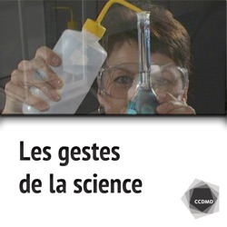 Les gestes de la science - Complément Web