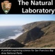 California Sea Otters: A Gap in the Point Reyes Ecosystem