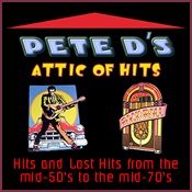 Pete D's Attic of Hits-The Drifters Story