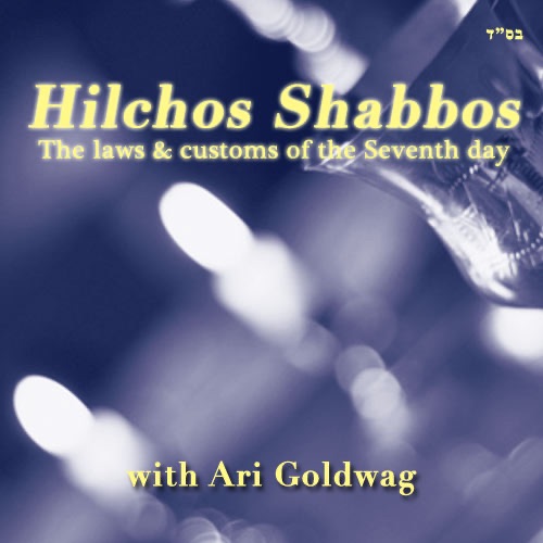 Hilchos Shabbos with Ari Goldwag Artwork