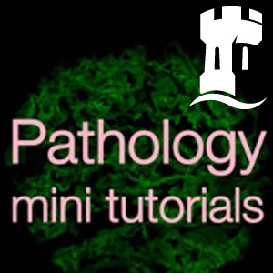 Pathology mini tutorials:Dr Geoffrey Hulman