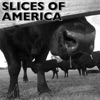 Slices of America Podcast artwork