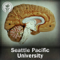 Psychology Additional Content