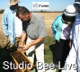 New Studies On Honey Bees and Our New Vlog