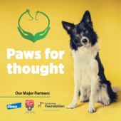 Animal Therapies Ltd Podcast - Animal Therapies Ltd