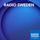 Radio Sweden Weekly: Sweden and Ukraine one year after the fullscale Russian invasion
