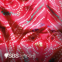 SBS Gujarati - SBS ગુજરાતી podcast