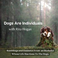 Allopathic VS. Holistic Herbalism - Mini Episode