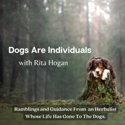 Dr. Kidd's Guide to Herbal Dog Care Book Review | Shorts