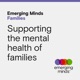 Understanding and supporting children’s mental health