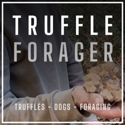 JAMES FEAVER - on Finding Massive English Truffles and Working With Truffle Dogs